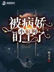 ������С�ǹ�������