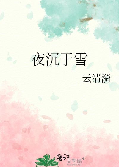 夜沉于雪