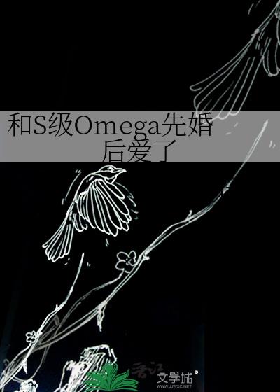 ��S��Omega�Ȼ����