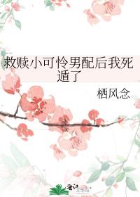 걾ݹ